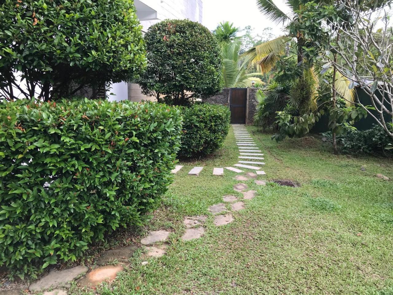 Lavendra Villa ミリッサ エクステリア 写真